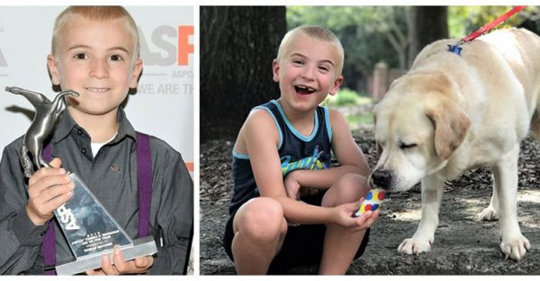 Το 7χρονο αγοράκι που έσωσε 1400 σκυλιά και ανακηρύχτηκε το “Παιδί της Χρονιάς” - Φωτογραφία 1