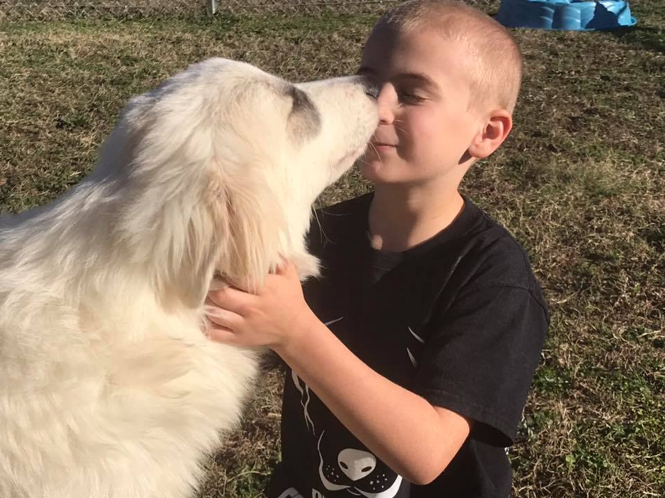 Το 7χρονο αγοράκι που έσωσε 1400 σκυλιά και ανακηρύχτηκε το “Παιδί της Χρονιάς” - Φωτογραφία 4