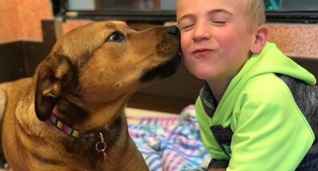 Το 7χρονο αγοράκι που έσωσε 1400 σκυλιά και ανακηρύχτηκε το “Παιδί της Χρονιάς” - Φωτογραφία 7