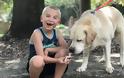 Το 7χρονο αγοράκι που έσωσε 1400 σκυλιά και ανακηρύχτηκε το “Παιδί της Χρονιάς” - Φωτογραφία 6