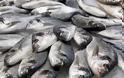 Η επικινδυνότητα της φορμόλης: Από την ταρίχευση των νεκρών, στη συντήρηση των κρεάτων και των ψαριών - Φωτογραφία 3