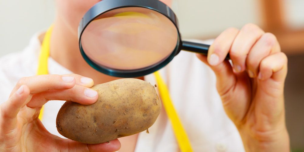 Γνωρίστε τη διατροφική αξία της πατάτας - Φωτογραφία 1