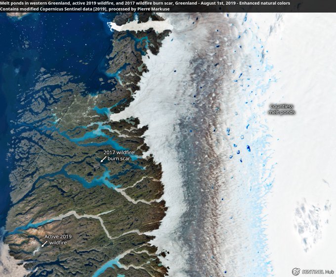 Λιώνει η Γροιλανδία: 22 βαθμοί και ποτάμια πάγου - Φωτογραφία 6