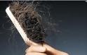 Τριχόπτωση, μύθοι, αλήθειες και απλοί τρόποι για γερά μαλλιά - Φωτογραφία 3