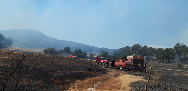 Φωτιά ξέσπασε πριν λίγο σε δασική έκταση ανάμεσα στα χωριά Αγράμπελο, Παλαιομάνινα, Πηγάδια και Πρόδρομος [ΦΩΤΟ] - Φωτογραφία 14