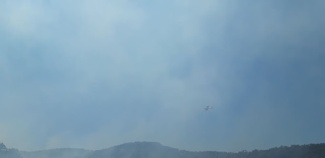 Φωτιά ξέσπασε πριν λίγο σε δασική έκταση ανάμεσα στα χωριά Αγράμπελο, Παλαιομάνινα, Πηγάδια και Πρόδρομος [ΦΩΤΟ] - Φωτογραφία 23