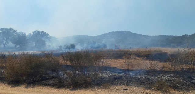 Φωτιά ξέσπασε πριν λίγο σε δασική έκταση ανάμεσα στα χωριά Αγράμπελο, Παλαιομάνινα, Πηγάδια και Πρόδρομος [ΦΩΤΟ] - Φωτογραφία 9