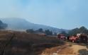 Φωτιά ξέσπασε πριν λίγο σε δασική έκταση ανάμεσα στα χωριά Αγράμπελο, Παλαιομάνινα, Πηγάδια και Πρόδρομος [ΦΩΤΟ] - Φωτογραφία 14