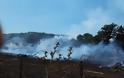 Φωτιά ξέσπασε πριν λίγο σε δασική έκταση ανάμεσα στα χωριά Αγράμπελο, Παλαιομάνινα, Πηγάδια και Πρόδρομος [ΦΩΤΟ] - Φωτογραφία 18