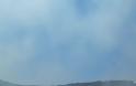 Φωτιά ξέσπασε πριν λίγο σε δασική έκταση ανάμεσα στα χωριά Αγράμπελο, Παλαιομάνινα, Πηγάδια και Πρόδρομος [ΦΩΤΟ] - Φωτογραφία 20