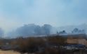 Φωτιά ξέσπασε πριν λίγο σε δασική έκταση ανάμεσα στα χωριά Αγράμπελο, Παλαιομάνινα, Πηγάδια και Πρόδρομος [ΦΩΤΟ] - Φωτογραφία 3