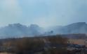 Φωτιά ξέσπασε πριν λίγο σε δασική έκταση ανάμεσα στα χωριά Αγράμπελο, Παλαιομάνινα, Πηγάδια και Πρόδρομος [ΦΩΤΟ] - Φωτογραφία 6