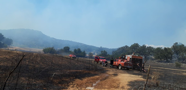 Περίπου 50 στρέμματα κάηκαν κοντά στην Παλαιομάνινα – Ελέγχεται η φωτιά - Φωτογραφία 2