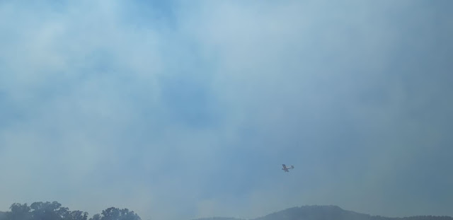 Περίπου 50 στρέμματα κάηκαν κοντά στην Παλαιομάνινα – Ελέγχεται η φωτιά - Φωτογραφία 3
