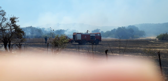 Περίπου 50 στρέμματα κάηκαν κοντά στην Παλαιομάνινα – Ελέγχεται η φωτιά - Φωτογραφία 9