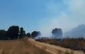 Περίπου 50 στρέμματα κάηκαν κοντά στην Παλαιομάνινα – Ελέγχεται η φωτιά - Φωτογραφία 4