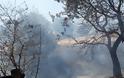 Περίπου 50 στρέμματα κάηκαν κοντά στην Παλαιομάνινα – Ελέγχεται η φωτιά - Φωτογραφία 7