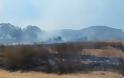 Περίπου 50 στρέμματα κάηκαν κοντά στην Παλαιομάνινα – Ελέγχεται η φωτιά - Φωτογραφία 8