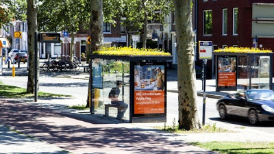 «Φιλόξενες» για τις μέλισσες οι στάσεις λεωφορείων στην Ολλανδία - Φωτογραφία 1