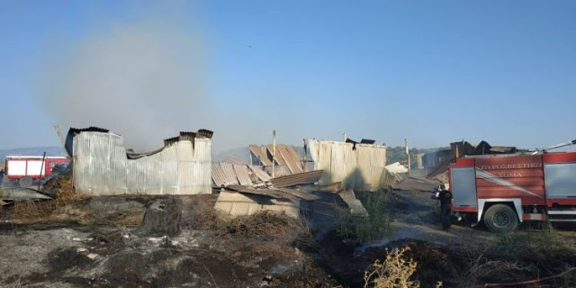 Αστακός: Φωτιά στο Βαλτί απείλησε περιουσίες (ΦΩΤΟ) - Φωτογραφία 2
