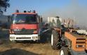 Αστακός: Φωτιά στο Βαλτί απείλησε περιουσίες (ΦΩΤΟ)