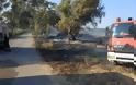 Αστακός: Φωτιά στο Βαλτί απείλησε περιουσίες (ΦΩΤΟ) - Φωτογραφία 3
