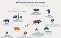 Περιφέρεια Αττικής: Προληπτικά μέτρα για την αφρικανική πανώλη των χοίρων