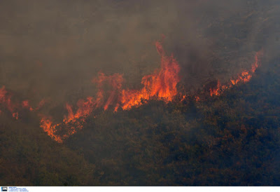 Δήλωση του νέου Περιφερειάρχη Αττικής και Προέδρου της ΚΕΔΕ Γ. Πατούλη με αφορμή την πρόβλεψη ακραίου κινδύνου  πυρκαγιάς - Φωτογραφία 1