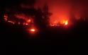 Εύβοια: Εκκένωση του χωριού Μακρυμάλλη ζητεί η Πυροσβεστική