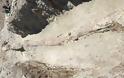 Λέσβος: Αποκαλύφθηκαν δυο «γιγάντιοι» κορμοί απολιθωμένων δένδρων (pics) - Φωτογραφία 2