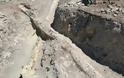 Λέσβος: Αποκαλύφθηκαν δυο «γιγάντιοι» κορμοί απολιθωμένων δένδρων (pics) - Φωτογραφία 4