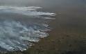 Ορμητικά προς τη θάλασσα κινείται η φωτιά στον Πρόδρομο Βοιωτίας - Πιθανή η εκκένωση παραλιών
