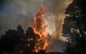 Καίγονται τα πρώτα σπίτια στην Εύβοια - Εκκενώθηκαν τρία χωριά (pics+video) - Φωτογραφία 3