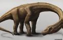 Το μεγαλύτερο ζώο που περπάτησε ποτέ στη Γη. Dreadnoughtus» («Ατρόμητος»)