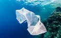 Γιατί τα θαλάσσια ζώα τρώνε τα πλαστικά που βρίσκουν στην θάλασσα - Φωτογραφία 1