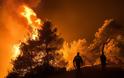 Εκτός ελέγχου η φωτιά στην Εύβοια - Εκκενώθηκαν τέσσερα χωριά - Φωτογραφία 1