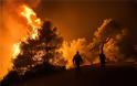 Εκτός ελέγχου η φωτιά στην Εύβοια - Εκκενώθηκαν τέσσερα χωριά - Φωτογραφία 2