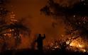 Εκτός ελέγχου η φωτιά στην Εύβοια - Εκκενώθηκαν τέσσερα χωριά - Φωτογραφία 3
