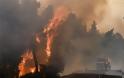 Εκτός ελέγχου η φωτιά στην Εύβοια - Εκκενώθηκαν τέσσερα χωριά - Φωτογραφία 4
