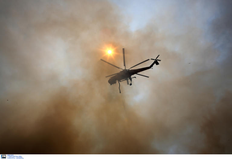 Φωτιά στην Εύβοια: Η πυρκαγιά εξακολουθεί να μαίνεται αλλά περιορίστηκε σε χαράδρα μακριά από χωριά - Φωτογραφία 1
