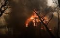 10 στρέμματα χορτολιβαδικής έκτασης κάηκαν σε φωτιά στη Στάνο Aμφιλοχίας