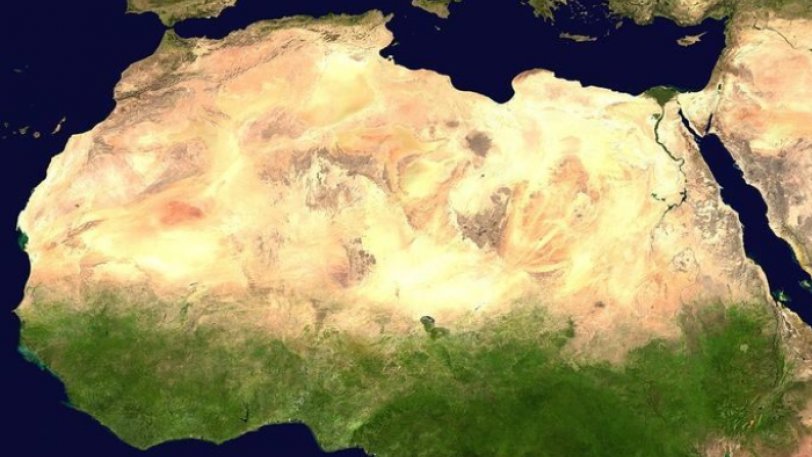 Μεγάλο Πράσινο Τείχος: 20 χώρες της Αφρικής σχεδιάζουν να φυτέψουν 200 εκ. δέντρα σε μήκος 6.000 χιλιομέτρων - Φωτογραφία 1