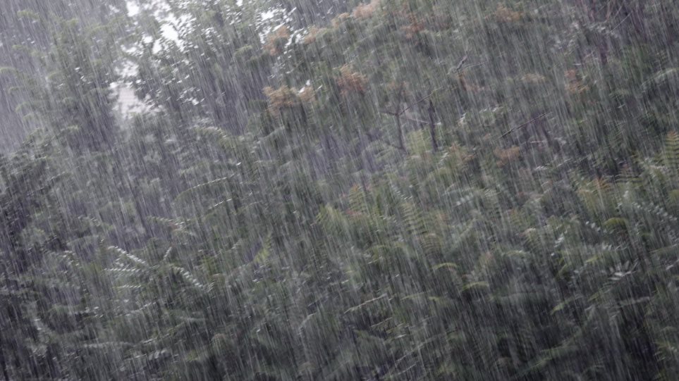 Βόλος: Καταρρακτώδης βροχή και κεραυνοί - Προβλήματα στην ηλεκτροδότηση - Φωτογραφία 1