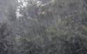 Βόλος: Καταρρακτώδης βροχή και κεραυνοί - Προβλήματα στην ηλεκτροδότηση