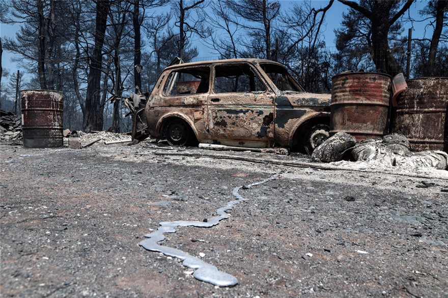 Εύβοια: Ασύλληπτη η καταστροφή που αφήνει πίσω της η φωτιά - Φωτογραφία 5