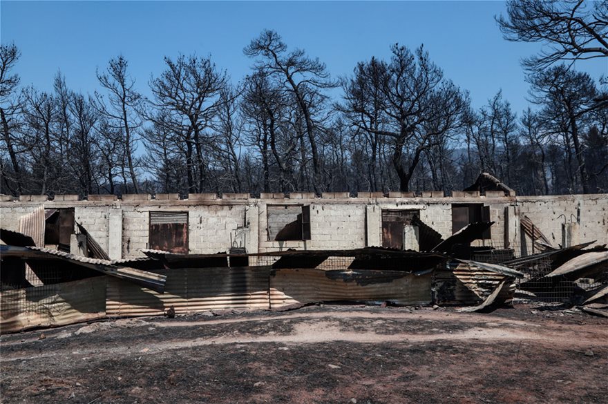Εύβοια: Ασύλληπτη η καταστροφή που αφήνει πίσω της η φωτιά - Φωτογραφία 6