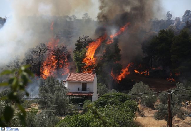 Άρση τηλεφωνικού απορρήτου ζητούν οι Αρχές για την φωτιά στην Εύβοια - Φωτογραφία 1