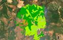 Φωτιά στην Εύβοια: O «μαύρος» χάρτης της καταστροφής - Φωτογραφία 4
