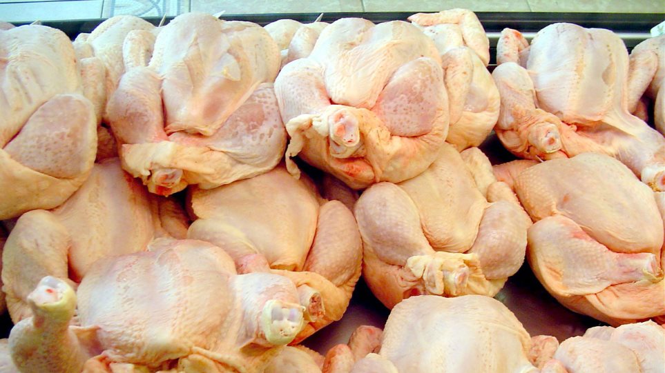 Κατασχέθηκαν 67 κιλά κοτόπουλα σε επιχείρηση εστίασης - Φωτογραφία 1