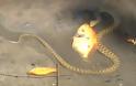 Απίστευτο βίντεο από το φράγμα Αποσελέμη: Φίδι τρώει χρυσόψαρο μέσα στο νερό!